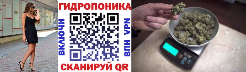 Купить закладку КОКАИН  Метамфетамин  Меф  ГАШИШ  Каннабис  Альфа ПВП  Дрезна