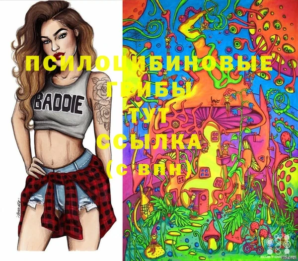 мдма Карпинск