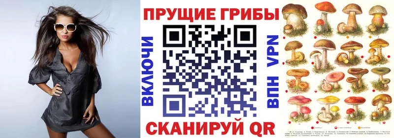 Купить  Дрезна  Галлюциногенные грибы GOLDEN TEACHER 